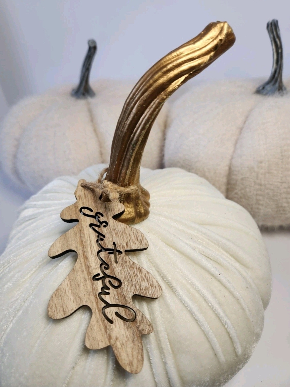 Cream Velvet And Knit Decorative Pumpkins with Stems - Grateful Tag - Picture 7 of 9